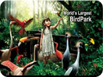 Jurong Birdpark + Tram