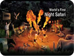 Night Safari + Tram