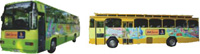 Buses